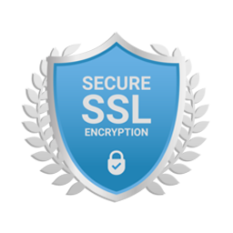 Website Design Icon