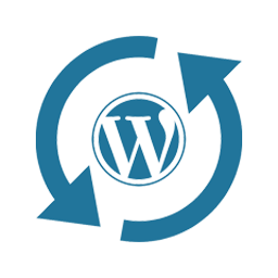 Website Design Icon